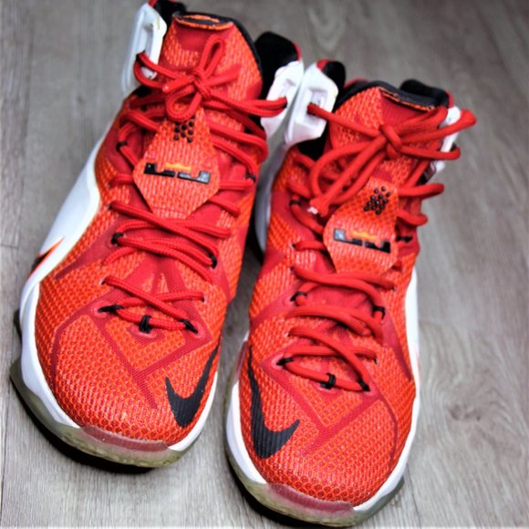 Nike LeBron 12 \'Heart of a Lion\' main image 4